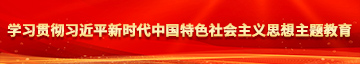 日臊逼综合学习贯彻习近平新时代中国特色社会主义思想主题教育